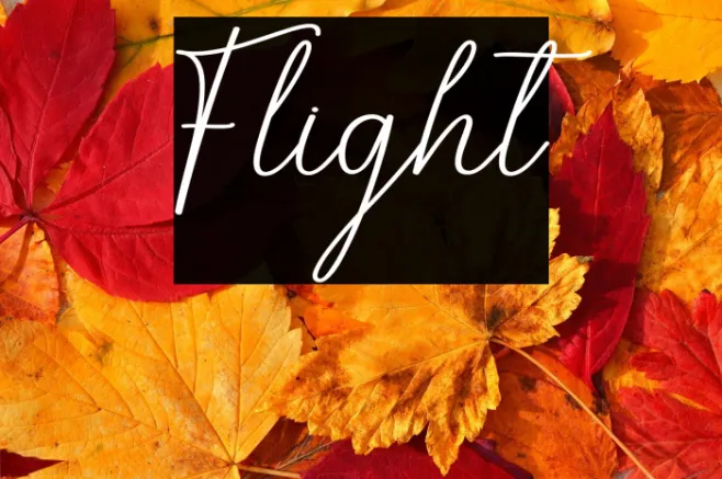 Flight Example 3