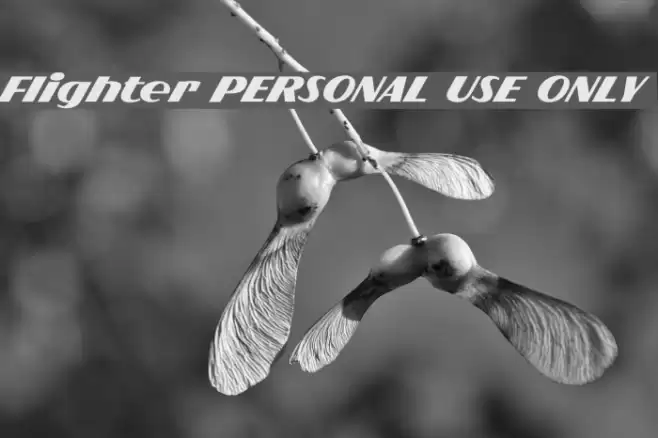 Flighter PERSONAL USE ONLY Font examples