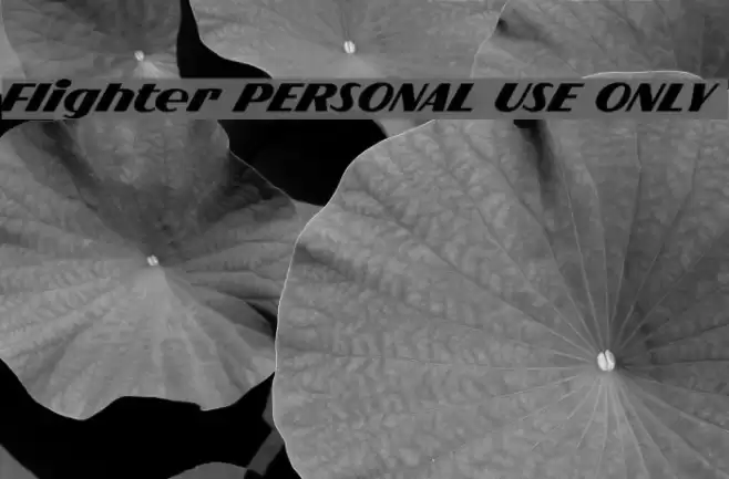 Flighter PERSONAL USE ONLY Font examples