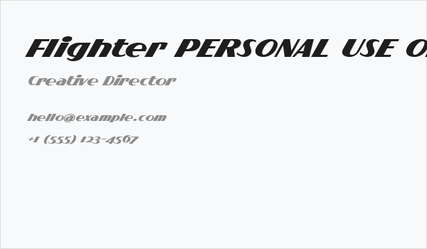 Flighter PERSONAL USE ONLY Business Card