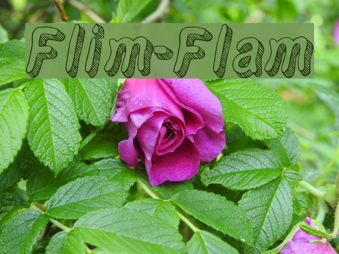 Flim-Flam フォント examples