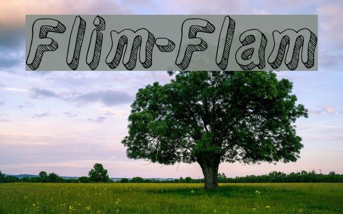 Flim-Flam フォント examples