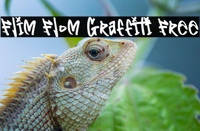 Flim Flom Graffiti Free Example 2