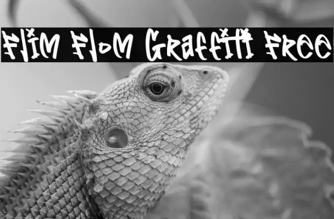Flim Flom Graffiti Free Font examples