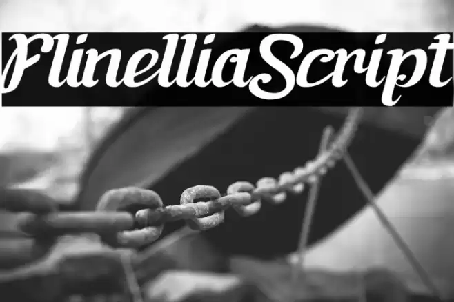 FlinelliaScript Font examples