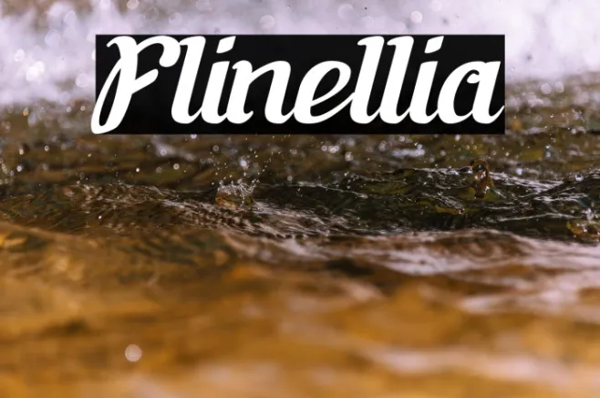 Flinellia Example 1