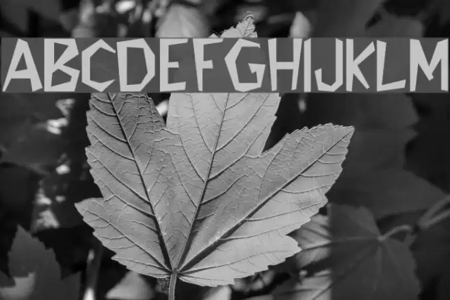 Flintstone Font examples