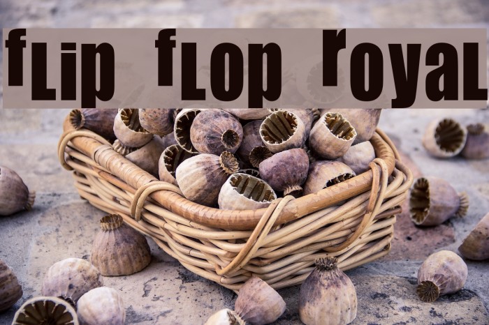 Flip Flop Royal Font examples