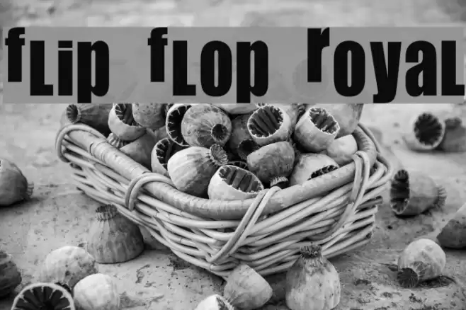 Flip Flop Royal Шрифта examples