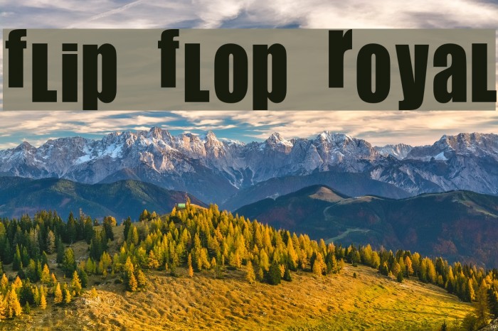Flip Flop Royal Font examples
