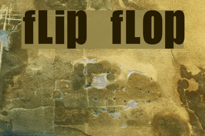 Flip Flop Example 1