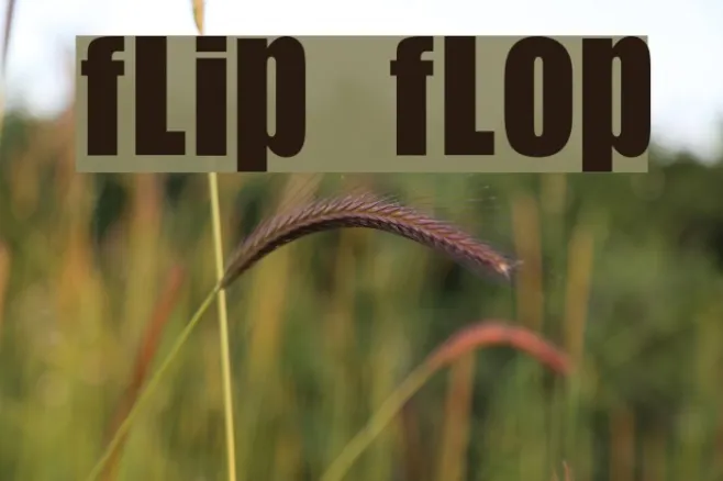 Flip Flop Example 2