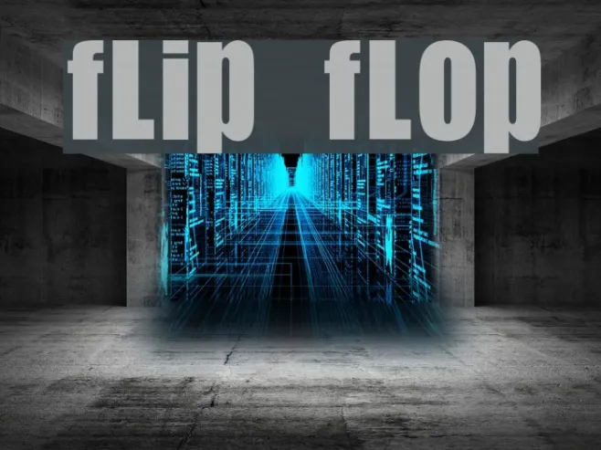 Flip Flop Example 3