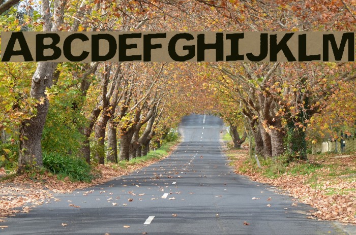 Flip the Switch Font examples