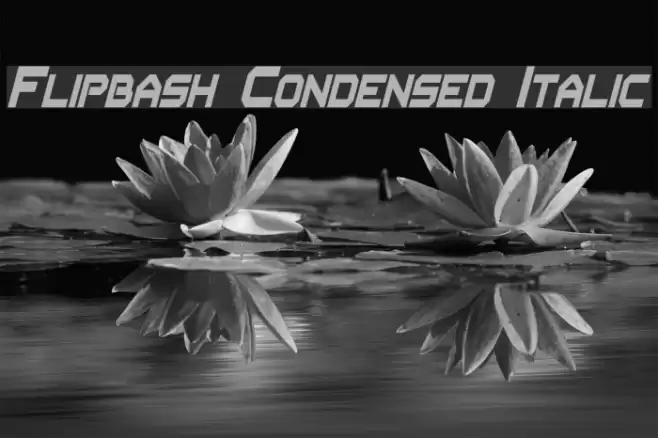 Flipbash Condensed Italic Font examples