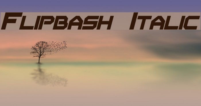 Flipbash Italic Font examples