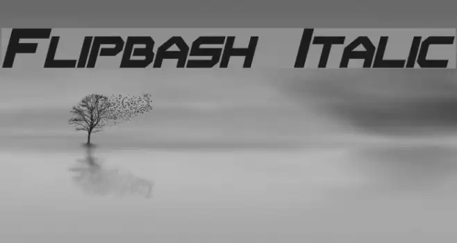 Flipbash Italic examples