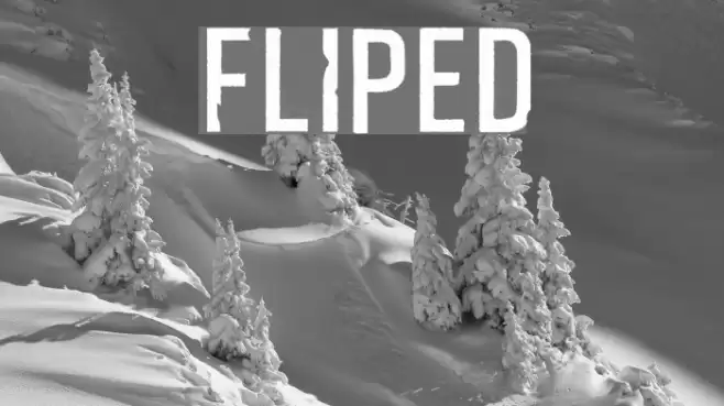 Fliped Font examples