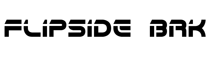 Flipside BRK Polices