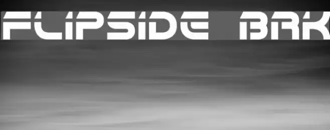 Flipside BRK Polices examples