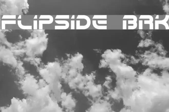 Flipside BRK Polices examples