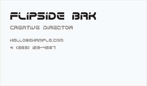 Flipside BRK Business Card