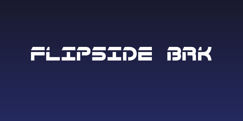 Flipside BRK Social Header