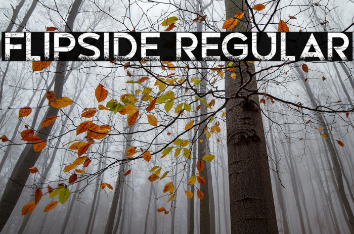 Flipside Regular Example 1