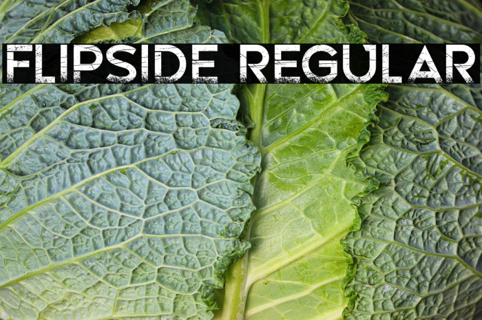 Flipside Regular Example 2
