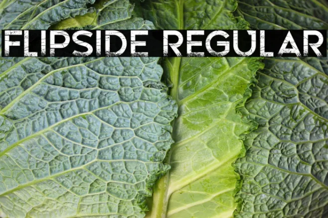 Flipside Regular Example 2