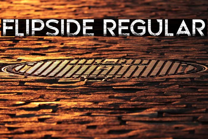 Flipside Regular Example 3