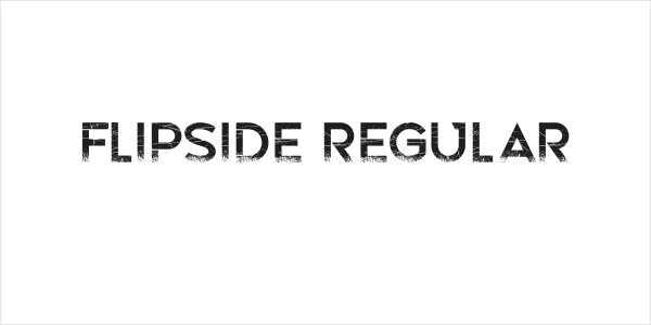 Flipside Regular Logo