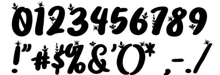 Fllorida FREE Font OTHER CHARS