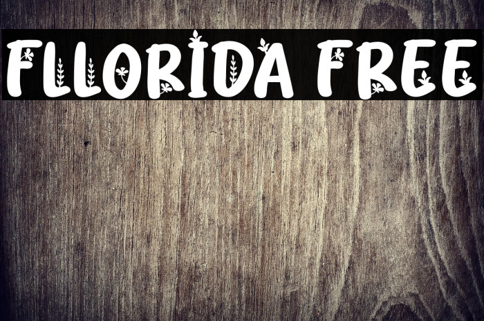 Fllorida FREE Example 1