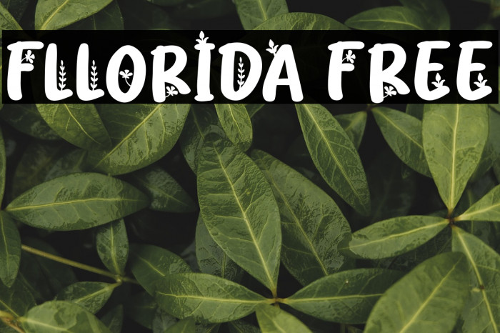 Fllorida FREE Example 3