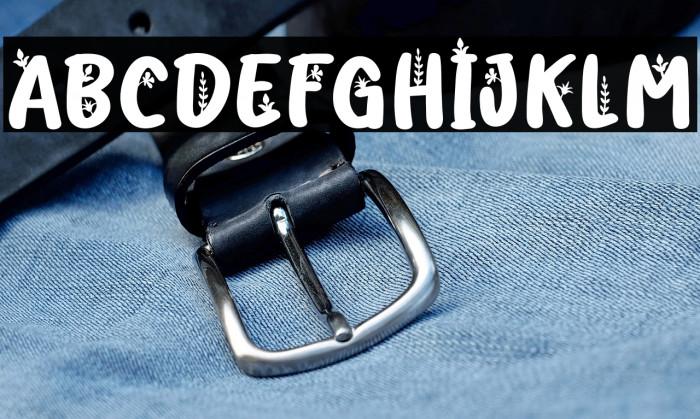 FlloridaFREE Example 3