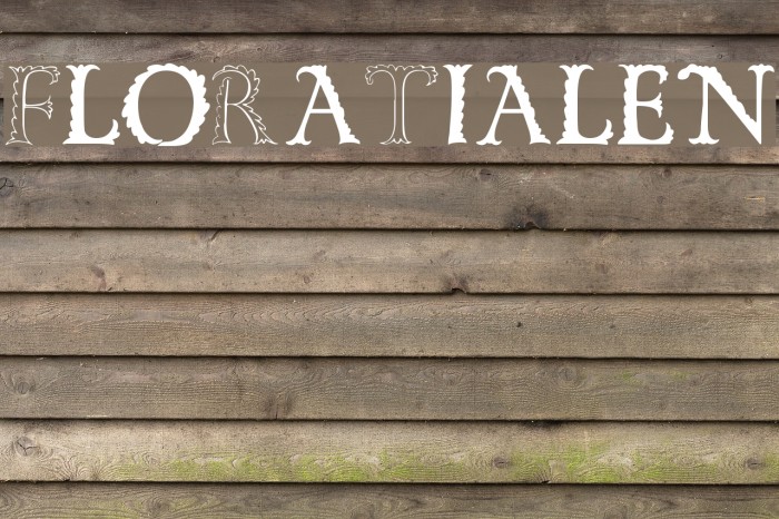 FloRaTialen Font examples