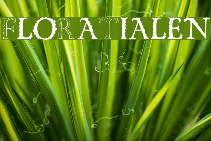 FloRaTialen Font examples