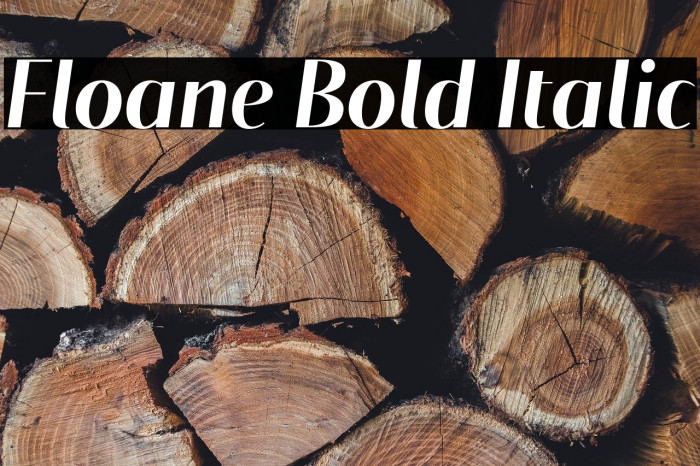Floane Bold Italic Example 1