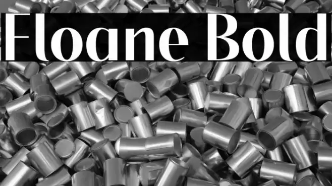 Floane Bold Font examples