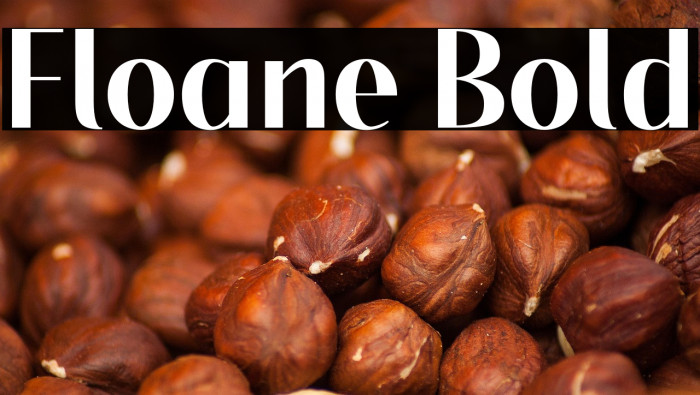 Floane Bold Example 2