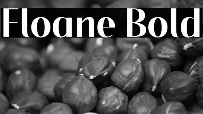 Floane Bold Font examples