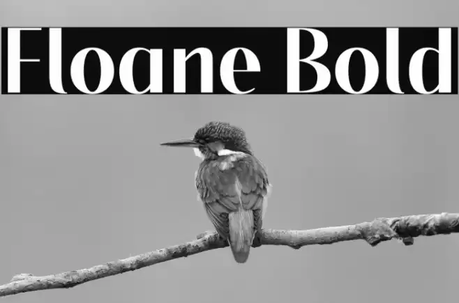 Floane Bold Font examples