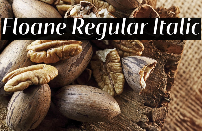 Floane Regular Italic Example 1