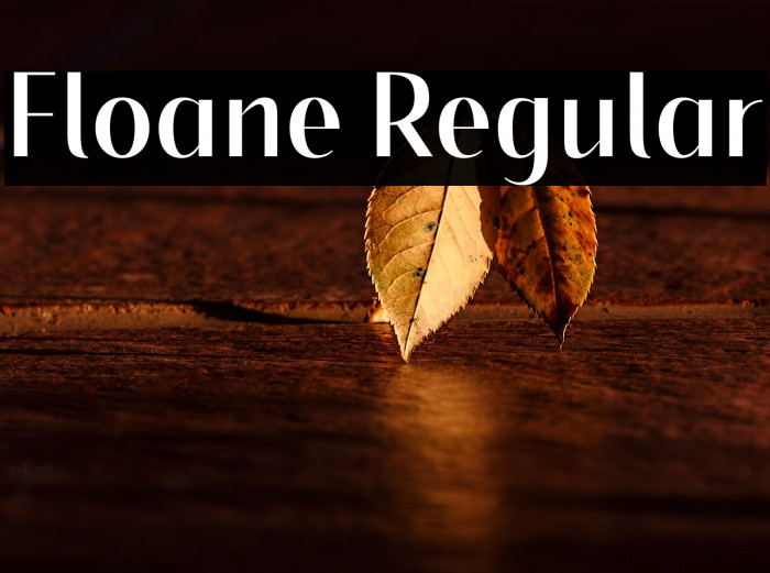 Floane Regular Example 1