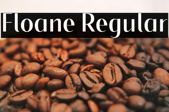 Floane Regular Example 2