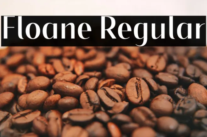 Floane Regular Example 2