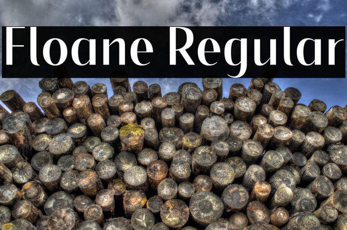 Floane Regular Example 3