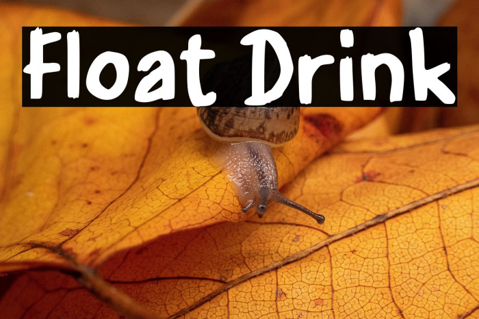 Float Drink Example 2