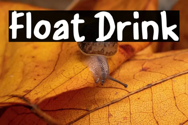 Float Drink Example 2